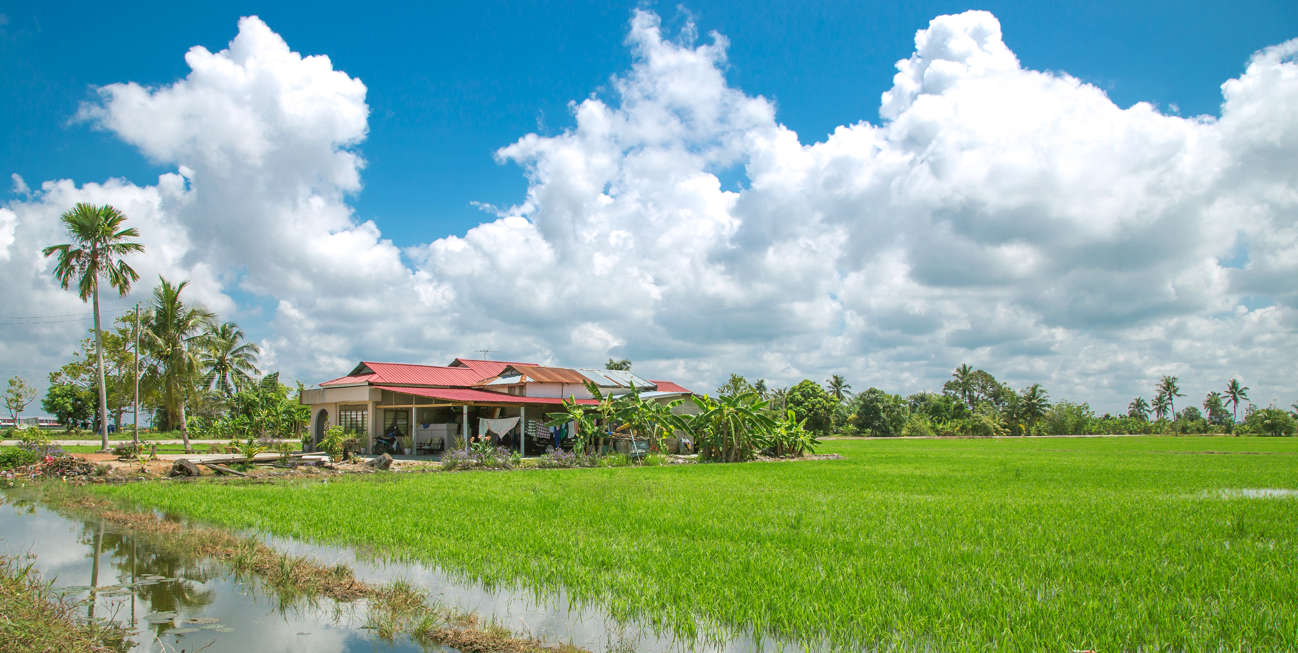 Farmhouse retreat to soak in serenity