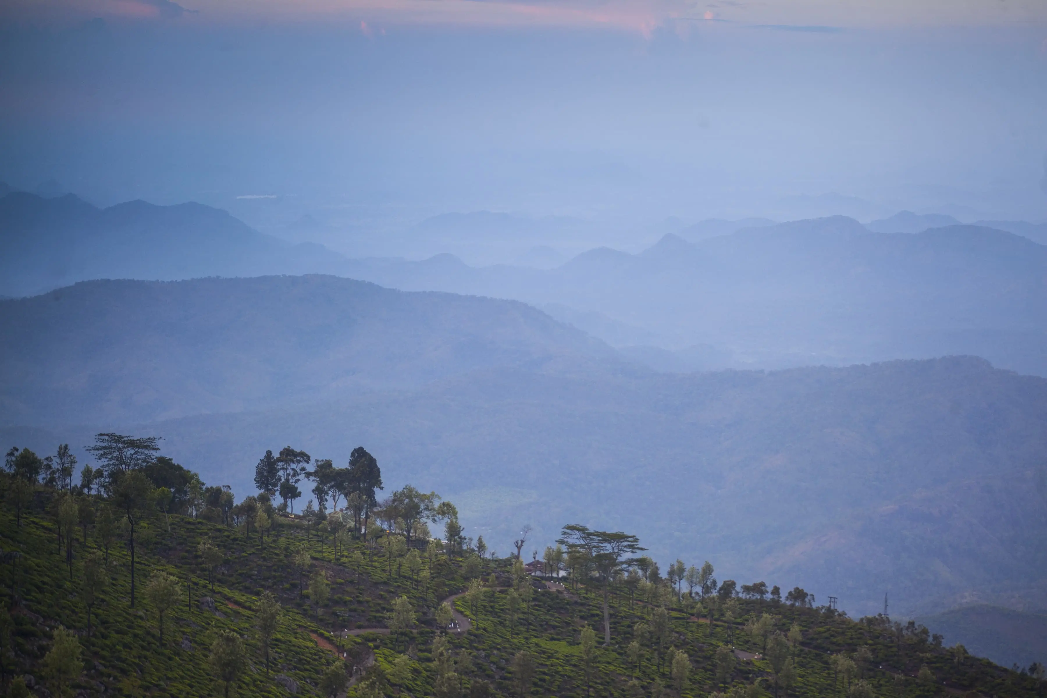 Tourist rush builds up in Nilgiris as Ooty flower show preparations gather pace