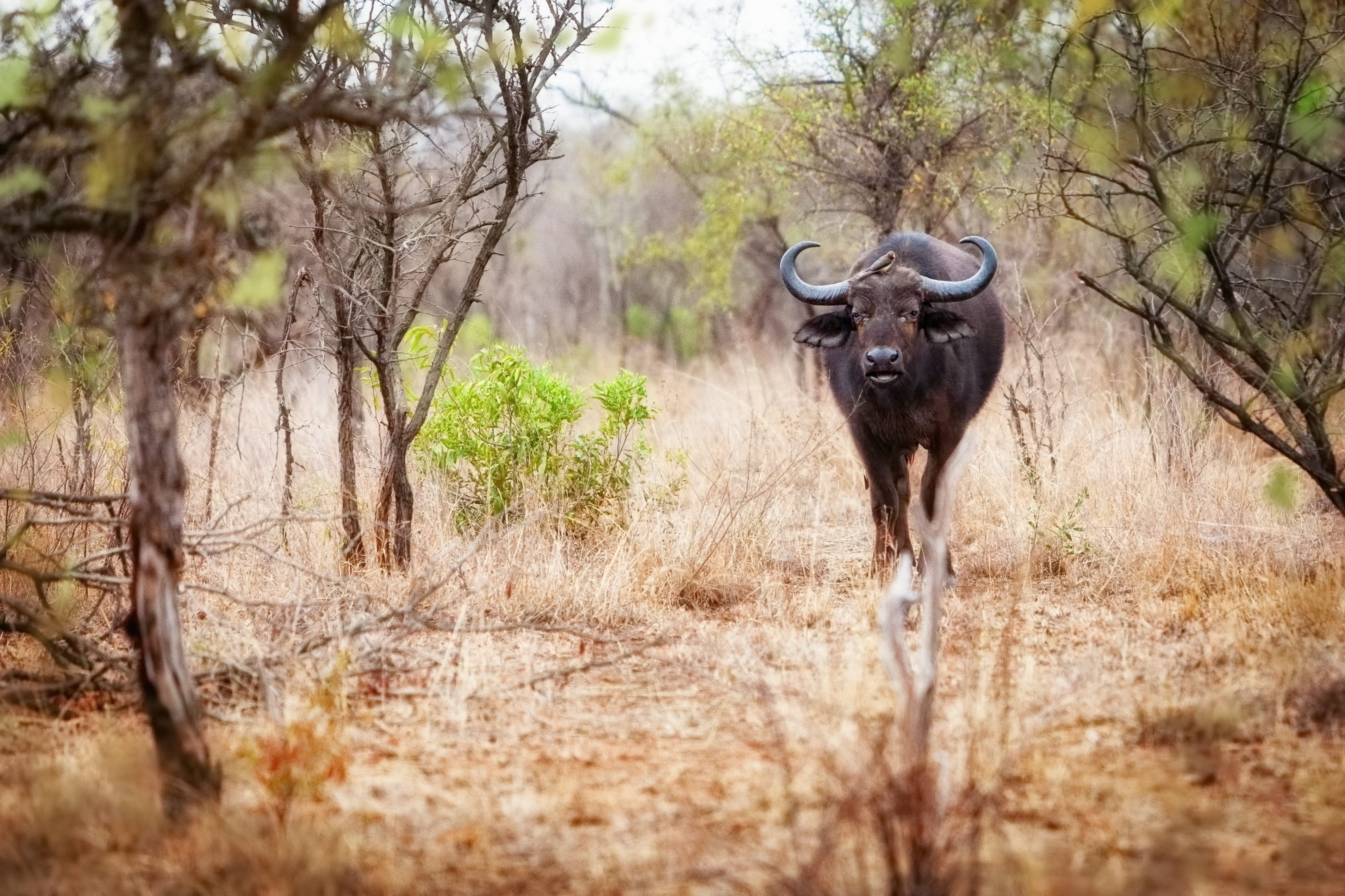 Create Lasting Memories with Your Kids:…